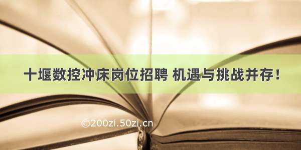 十堰数控冲床岗位招聘 机遇与挑战并存！