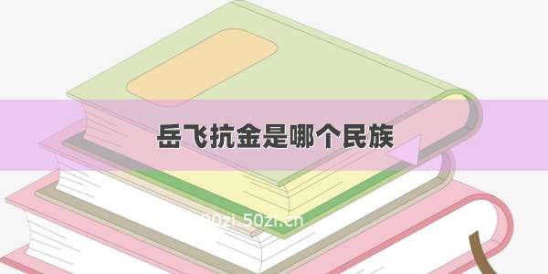 岳飞抗金是哪个民族