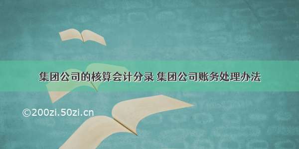 集团公司的核算会计分录 集团公司账务处理办法