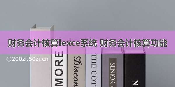 财务会计核算lexce系统 财务会计核算功能