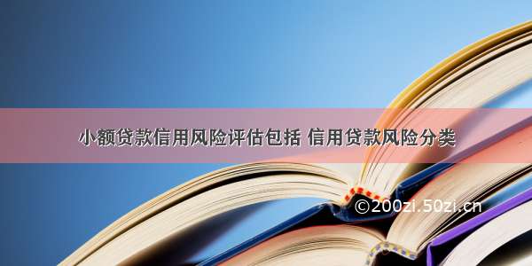 小额贷款信用风险评估包括 信用贷款风险分类