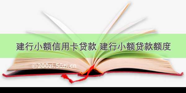 建行小额信用卡贷款 建行小额贷款额度