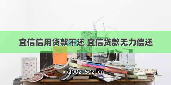 宜信信用贷款不还 宜信贷款无力偿还