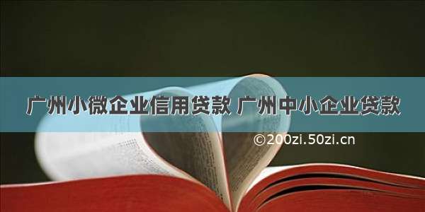 广州小微企业信用贷款 广州中小企业贷款