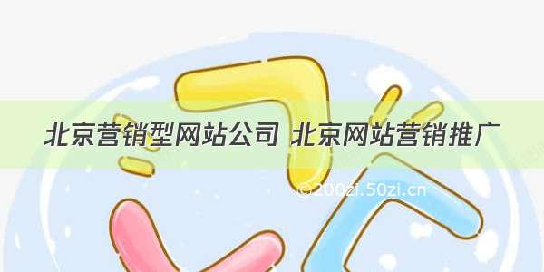 北京营销型网站公司 北京网站营销推广