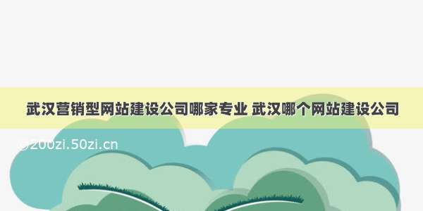 武汉营销型网站建设公司哪家专业 武汉哪个网站建设公司