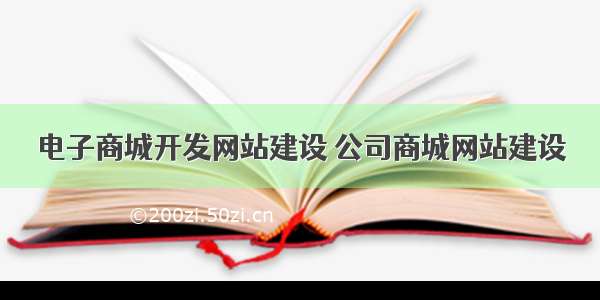 电子商城开发网站建设 公司商城网站建设