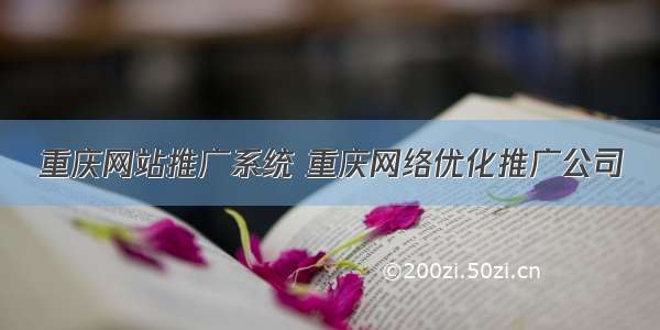 重庆网站推广系统 重庆网络优化推广公司