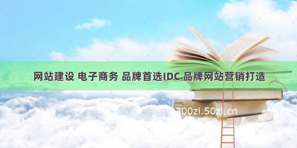 网站建设 电子商务 品牌首选IDC 品牌网站营销打造