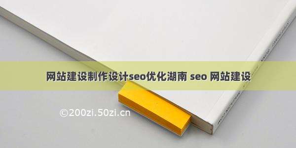 网站建设制作设计seo优化湖南 seo 网站建设