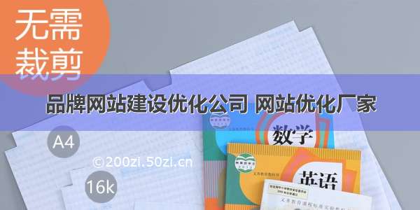 品牌网站建设优化公司 网站优化厂家