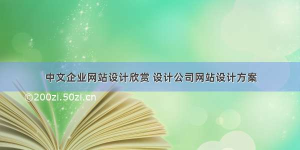 中文企业网站设计欣赏 设计公司网站设计方案