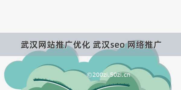 武汉网站推广优化 武汉seo 网络推广