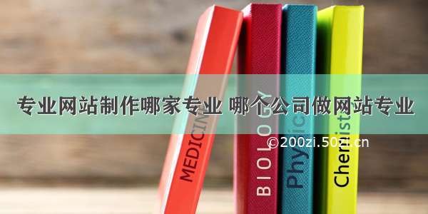 专业网站制作哪家专业 哪个公司做网站专业