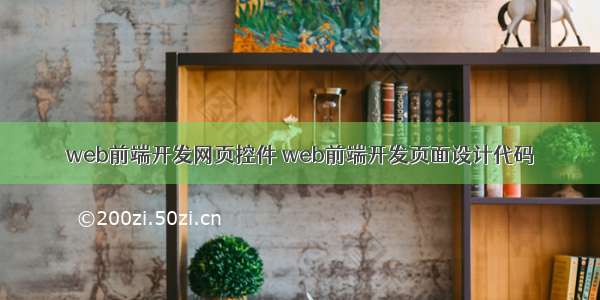 web前端开发网页控件 web前端开发页面设计代码