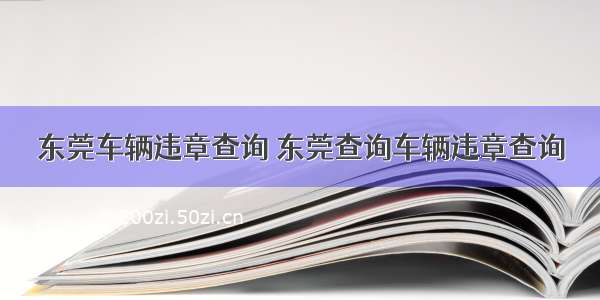 东莞车辆违章查询 东莞查询车辆违章查询