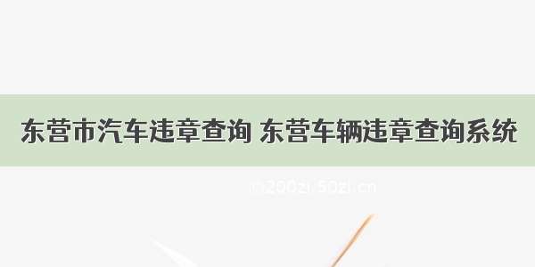 东营市汽车违章查询 东营车辆违章查询系统