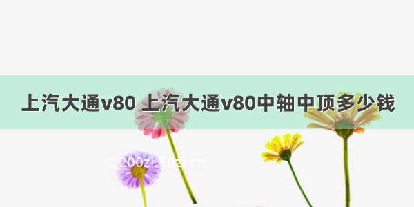 上汽大通v80 上汽大通v80中轴中顶多少钱