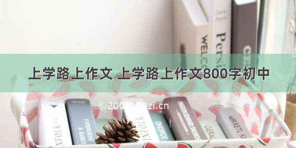 上学路上作文 上学路上作文800字初中