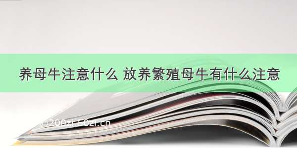 养母牛注意什么 放养繁殖母牛有什么注意