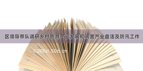 区领导带队调研乡村旅游产业发展和闲置产业盘活及防汛工作