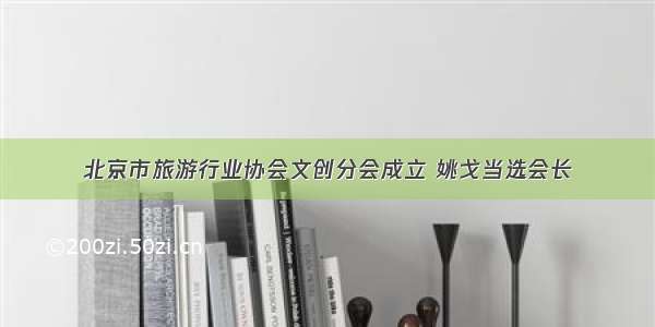 北京市旅游行业协会文创分会成立 姚戈当选会长