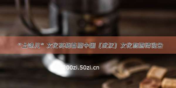 “土味儿”文化亮相首届中国（武汉）文化旅游博览会