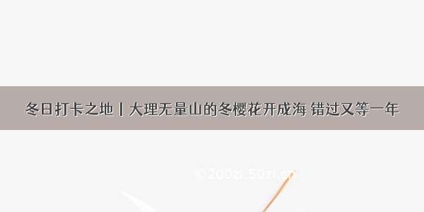 冬日打卡之地丨大理无量山的冬樱花开成海 错过又等一年