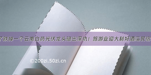 15万股东呆了跌掉一个云南白药光伏龙头砸出深坑！旅游业迎大利好酒店民宿预定爆满7股