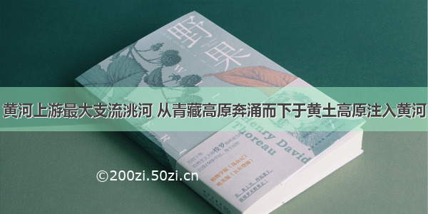 黄河上游最大支流洮河 从青藏高原奔涌而下于黄土高原注入黄河