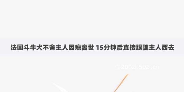 法国斗牛犬不舍主人因癌离世 15分钟后直接跟随主人西去