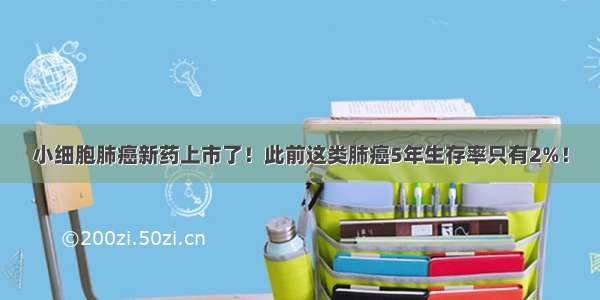 小细胞肺癌新药上市了！此前这类肺癌5年生存率只有2%！