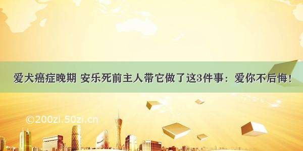 爱犬癌症晚期 安乐死前主人带它做了这3件事：爱你不后悔！