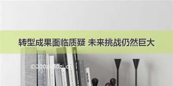 转型成果面临质疑 未来挑战仍然巨大