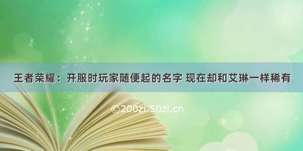 王者荣耀：开服时玩家随便起的名字 现在却和艾琳一样稀有