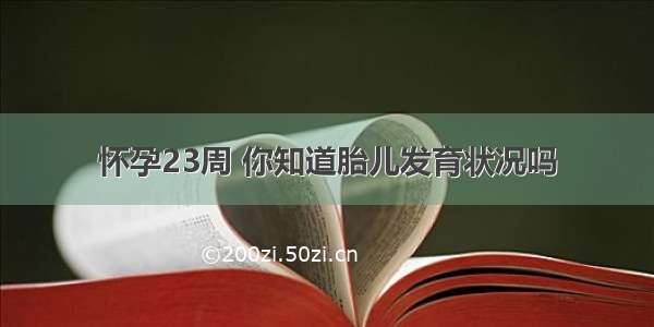 怀孕23周 你知道胎儿发育状况吗