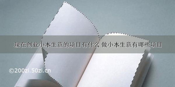 现在创业小本生意的项目有什么 做小本生意有哪些项目