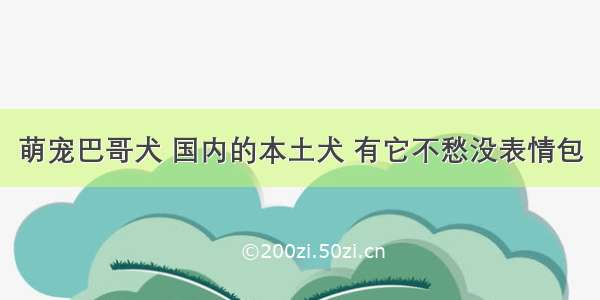 萌宠巴哥犬 国内的本土犬 有它不愁没表情包