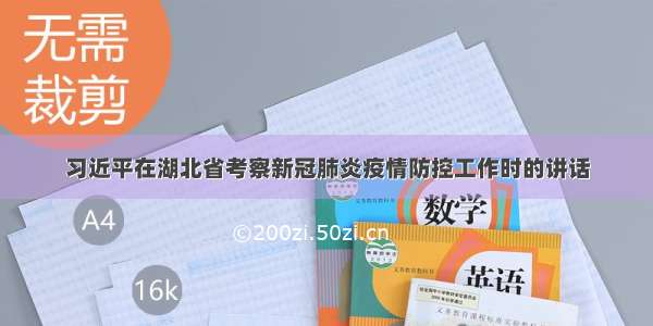 习近平在湖北省考察新冠肺炎疫情防控工作时的讲话