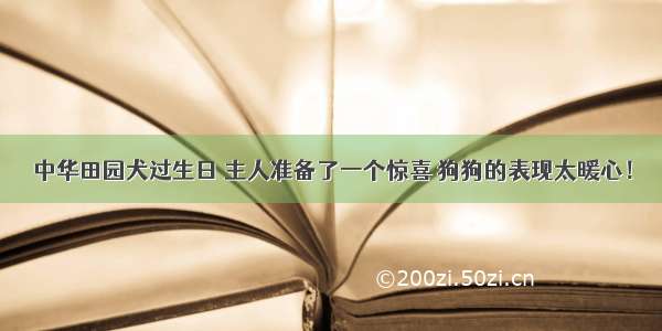 中华田园犬过生日 主人准备了一个惊喜 狗狗的表现太暖心！