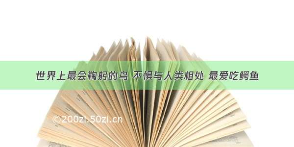 世界上最会鞠躬的鸟 不惧与人类相处 最爱吃鳄鱼