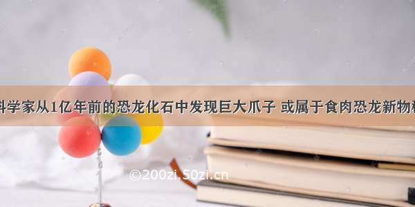 科学家从1亿年前的恐龙化石中发现巨大爪子 或属于食肉恐龙新物种