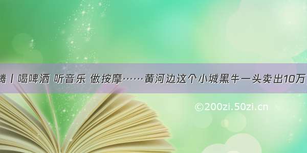 大河奔腾丨喝啤酒 听音乐 做按摩……黄河边这个小城黑牛一头卖出10万“天价”