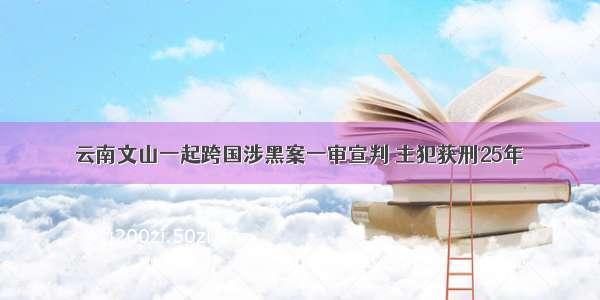 云南文山一起跨国涉黑案一审宣判 主犯获刑25年