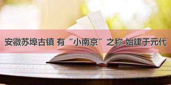 安徽苏埠古镇 有“小南京”之称 始建于元代