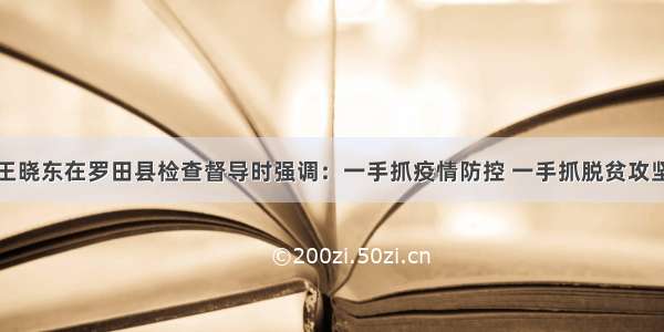 王晓东在罗田县检查督导时强调：一手抓疫情防控 一手抓脱贫攻坚