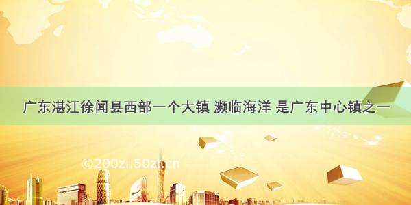 广东湛江徐闻县西部一个大镇 濒临海洋 是广东中心镇之一