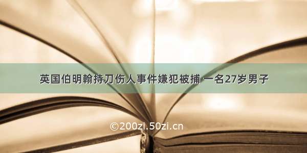 英国伯明翰持刀伤人事件嫌犯被捕 一名27岁男子