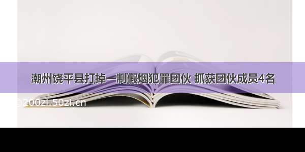 潮州饶平县打掉一制假烟犯罪团伙 抓获团伙成员4名