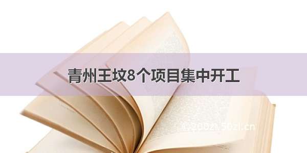 青州王坟8个项目集中开工